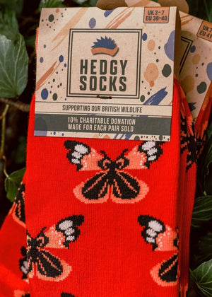 Hedgy Bamboo Socks UK3-7