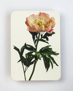 Load image into Gallery viewer, Peony Greeting Card | Luxury Cards from Canonbury Press
