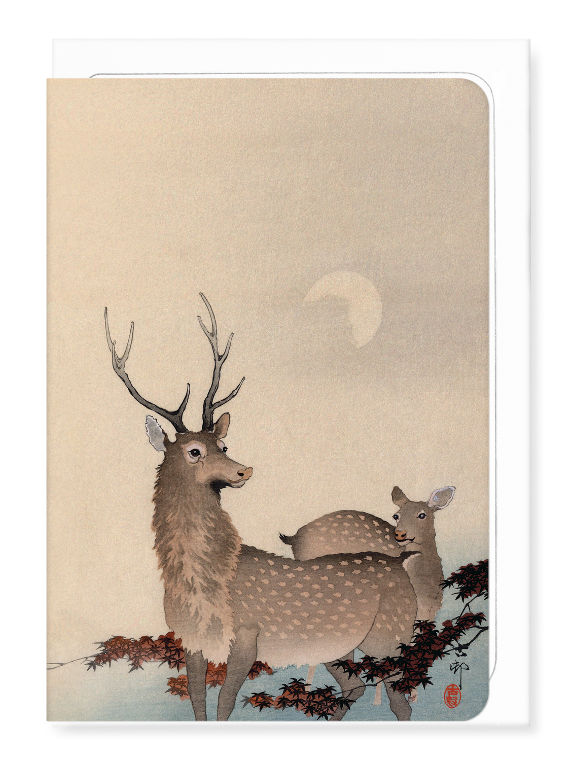 TWO DEER AND MAPLE: Japanese Greeting Card