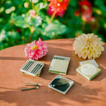 Carica l'immagine nel visualizzatore di Gallery, Hibi 10 Minutes Garden Series - Regular Box: Mimosa
