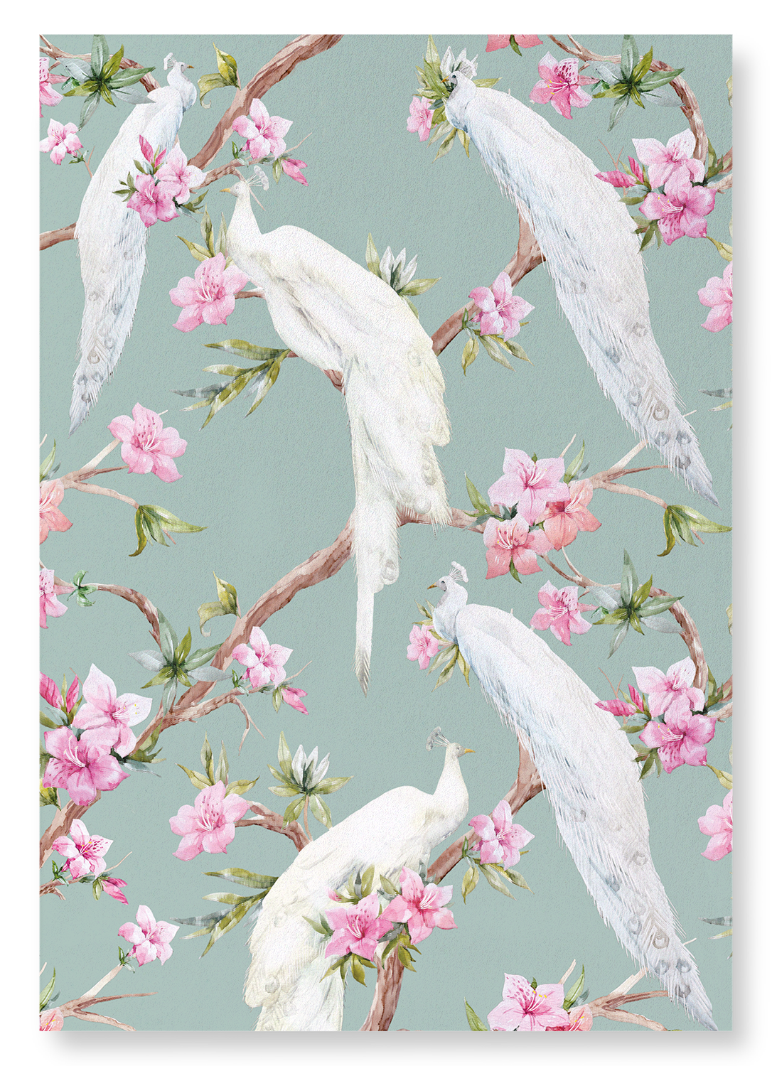 WHITE PEACOCKS: Art Print: A4