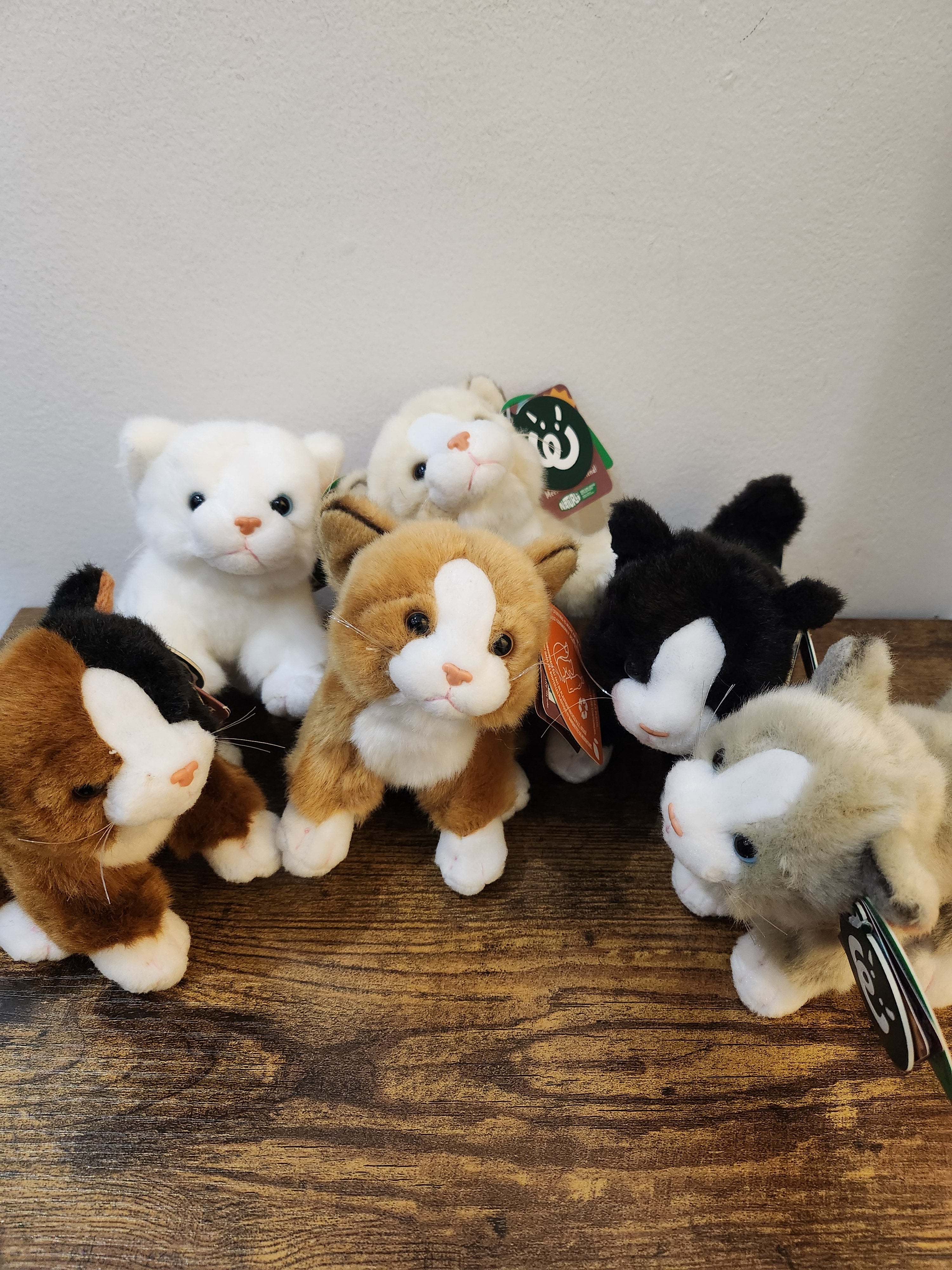 Small Kitten/Cat Plushie