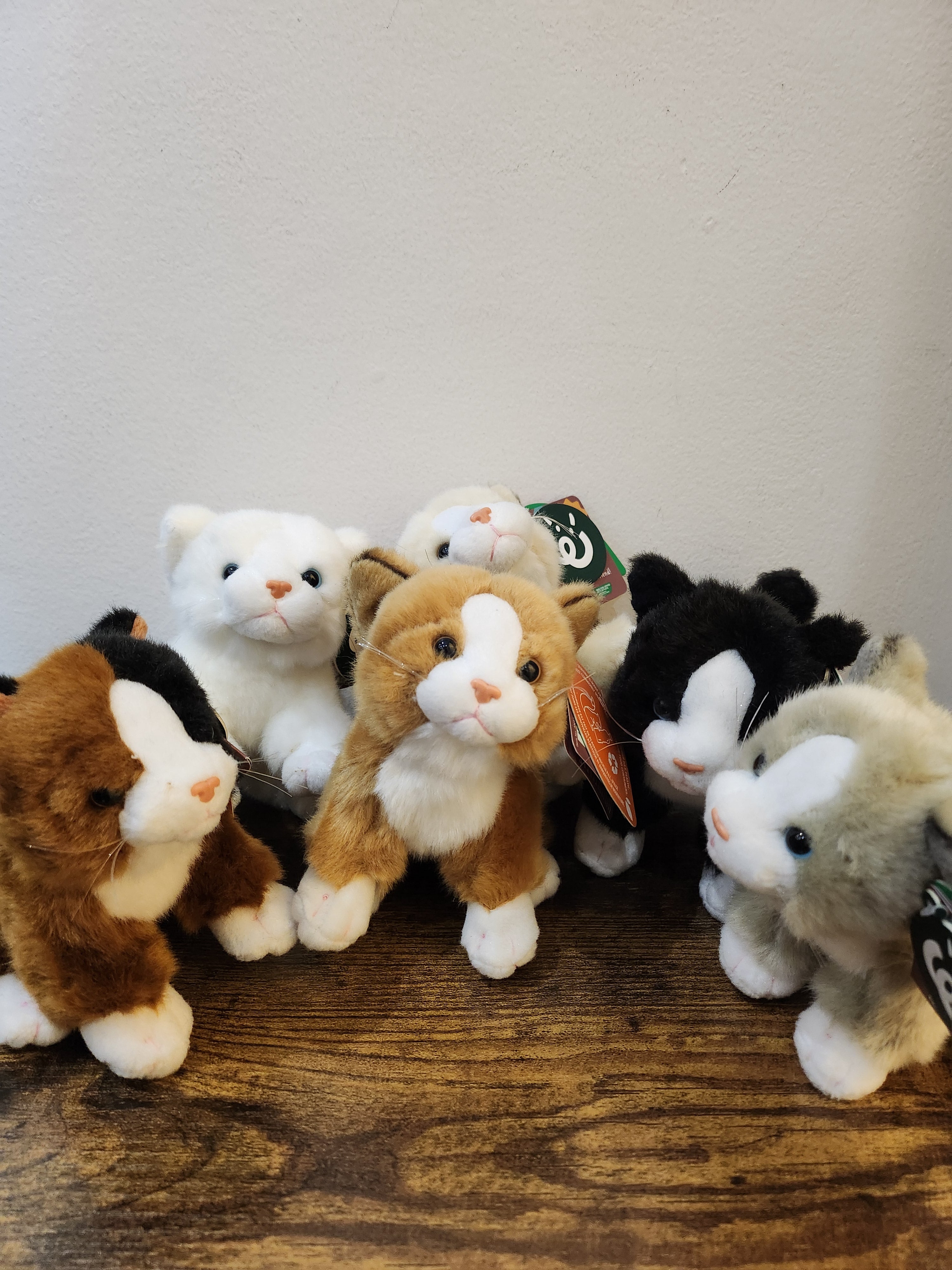 Small Kitten/Cat Plushie