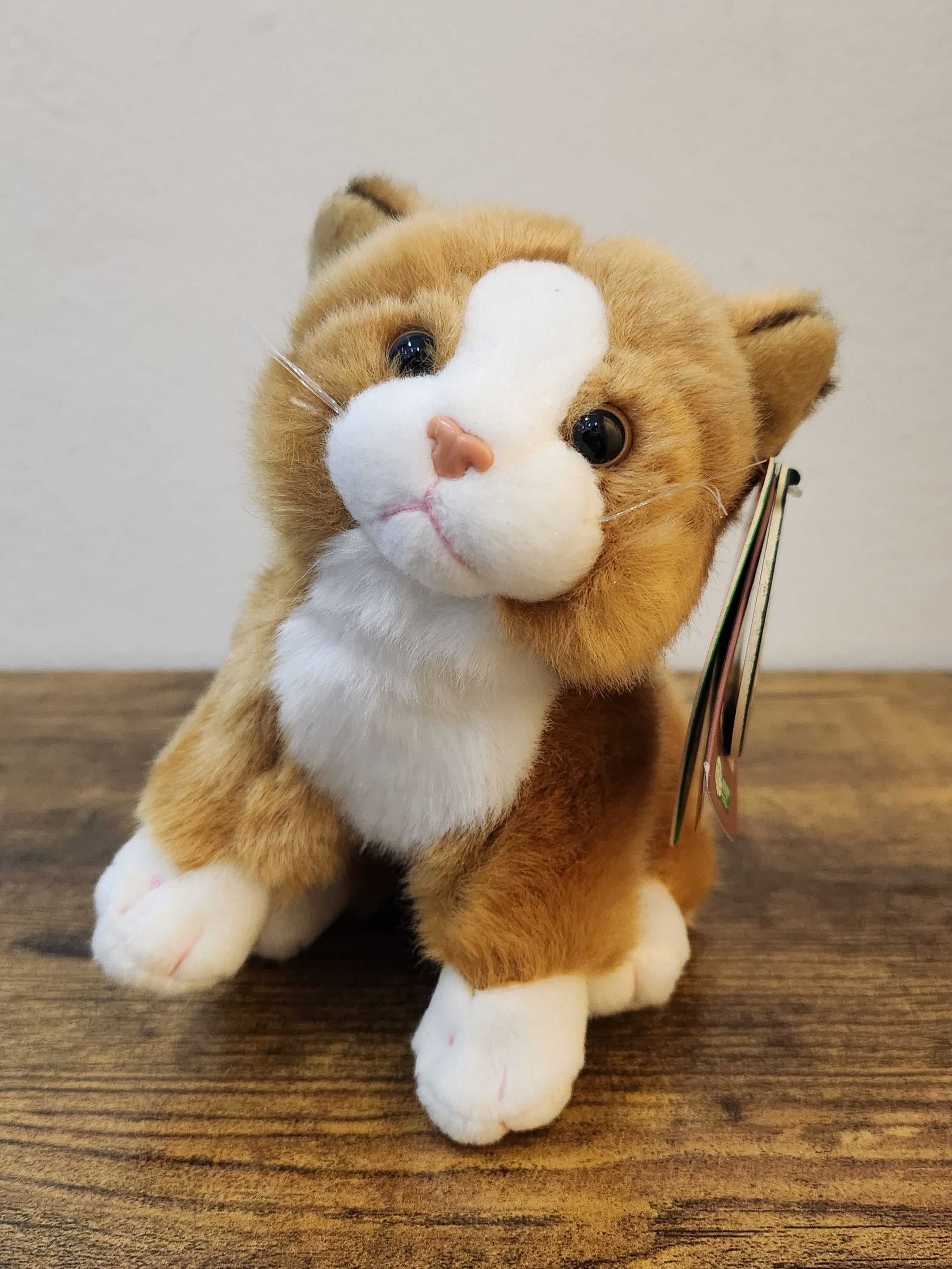 Small Kitten/Cat Plushie