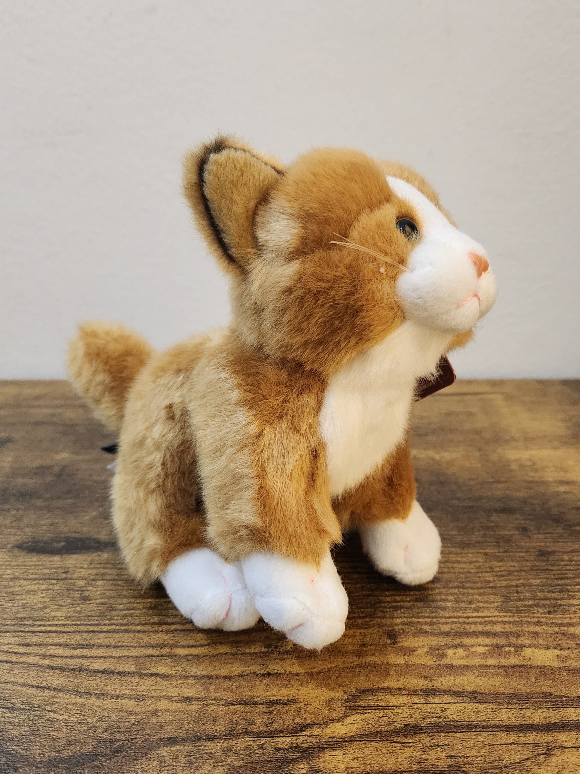 Small Kitten/Cat Plushie