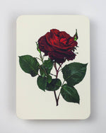 画像をギャラリービューアに読み込む, Red Rose Greeting Card | Birthday Card | Luxury Cards
