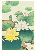 Laden Sie das Bild in den Galerie-Viewer, Haiku: Japanese Art and Poetry Boxed Notecard Assortment
