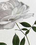 画像をギャラリービューアに読み込む, White Rose Greeting Card | Birthday Card | Luxury Cards
