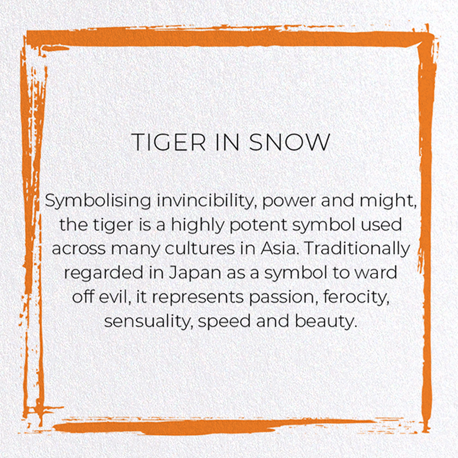 TIGER IN SNOW: Japanese Greeting Card