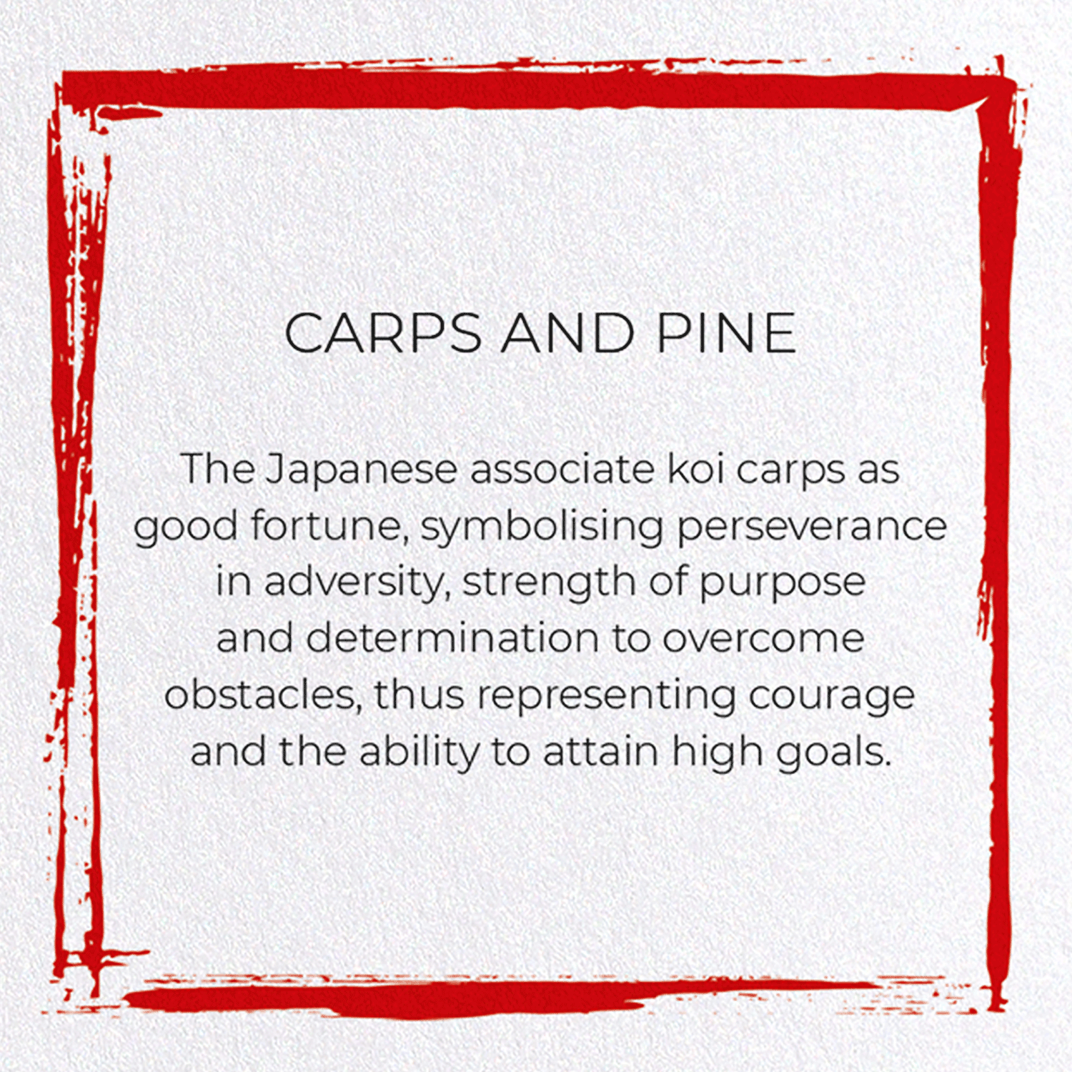 CARPS AND PINE:  Japanese Greeting Card