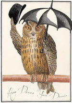 Load image into Gallery viewer, Owl Do You Doooo Whimsical Blank Greeting Card
