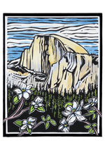 Laden Sie das Bild in den Galerie-Viewer, Molly Hashimoto: Wildflowers Boxed Notecard Assortment
