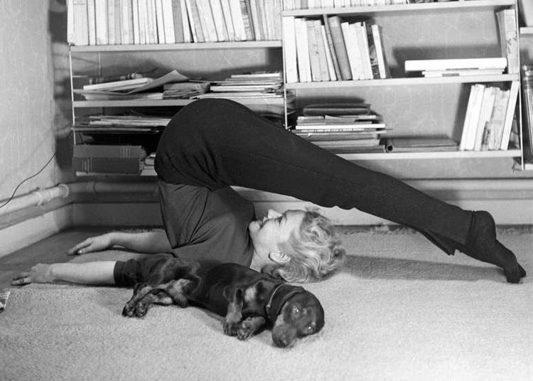 Woman exercising and dog sleeping blank greetings card