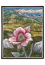 Laden Sie das Bild in den Galerie-Viewer, Molly Hashimoto: Wildflowers Boxed Notecard Assortment
