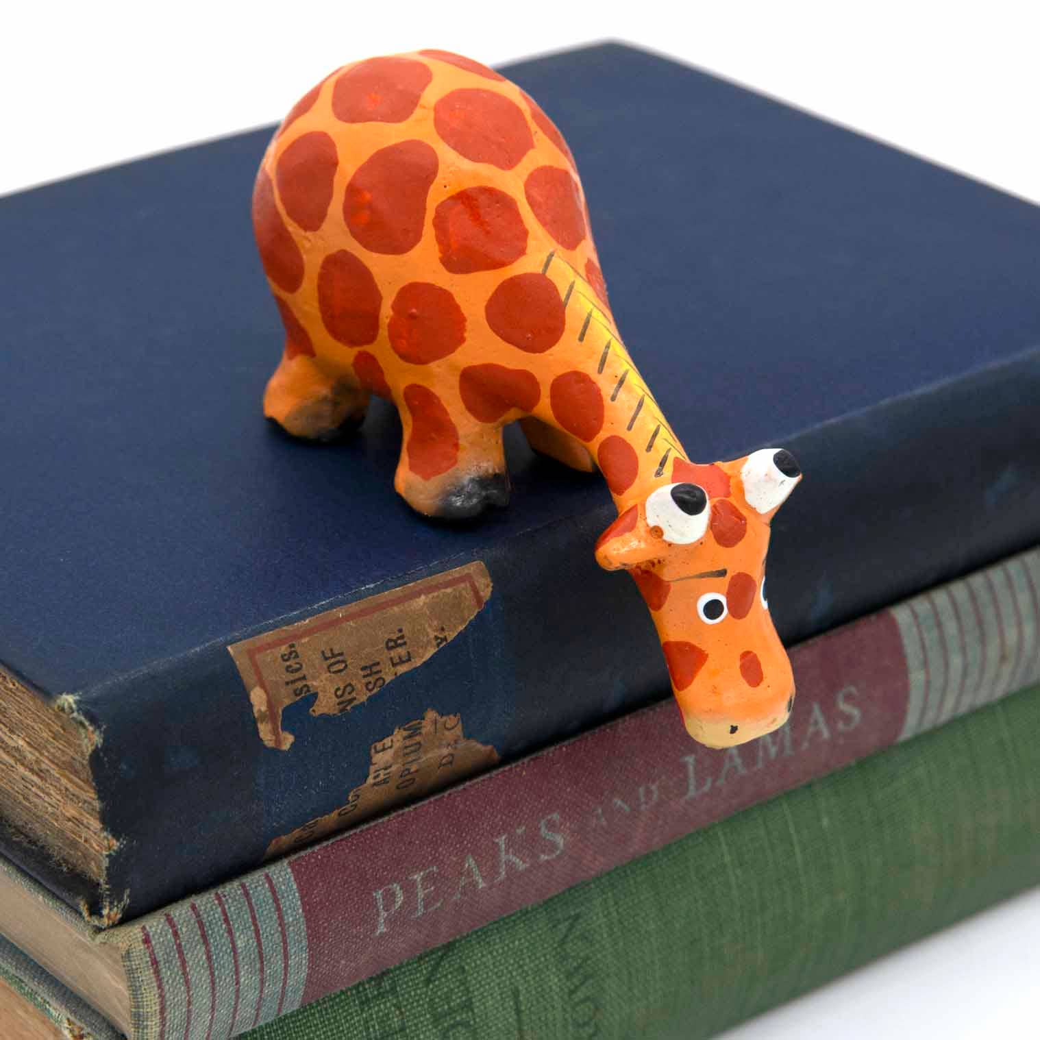 Cartoon Shelf Giraffe