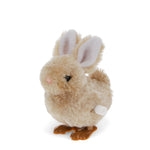Load image into Gallery viewer, Wind-Up Toy - Bunny
