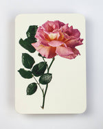 Carica l'immagine nel visualizzatore di Gallery, Pink Rose Greeting Card | Luxury Cards from Canonbury Press
