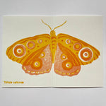 Carica l'immagine nel visualizzatore di Gallery, Moth Card: Single card by Takako Copeland
