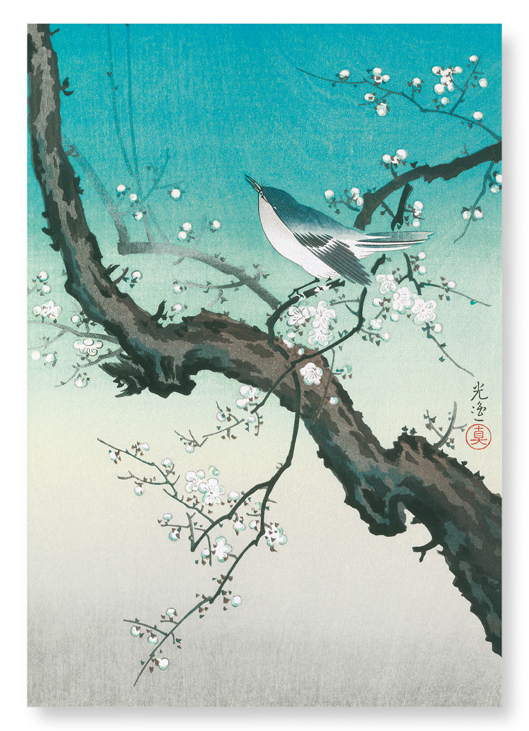 BUSH WARBLER AND PLUM BLOSSOMS: Japanese Art Print: A4