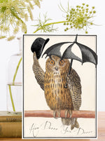 Load image into Gallery viewer, Owl Do You Doooo Whimsical Blank Greeting Card
