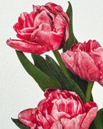 Carica l'immagine nel visualizzatore di Gallery, Pink Tulips Greeting Card | Birthday Card | Luxury Cards

