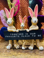 Load image into Gallery viewer, Jasper &amp; Family Together, 15cm
