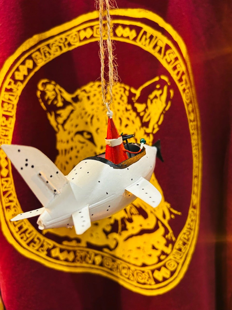 Santa In White Plane