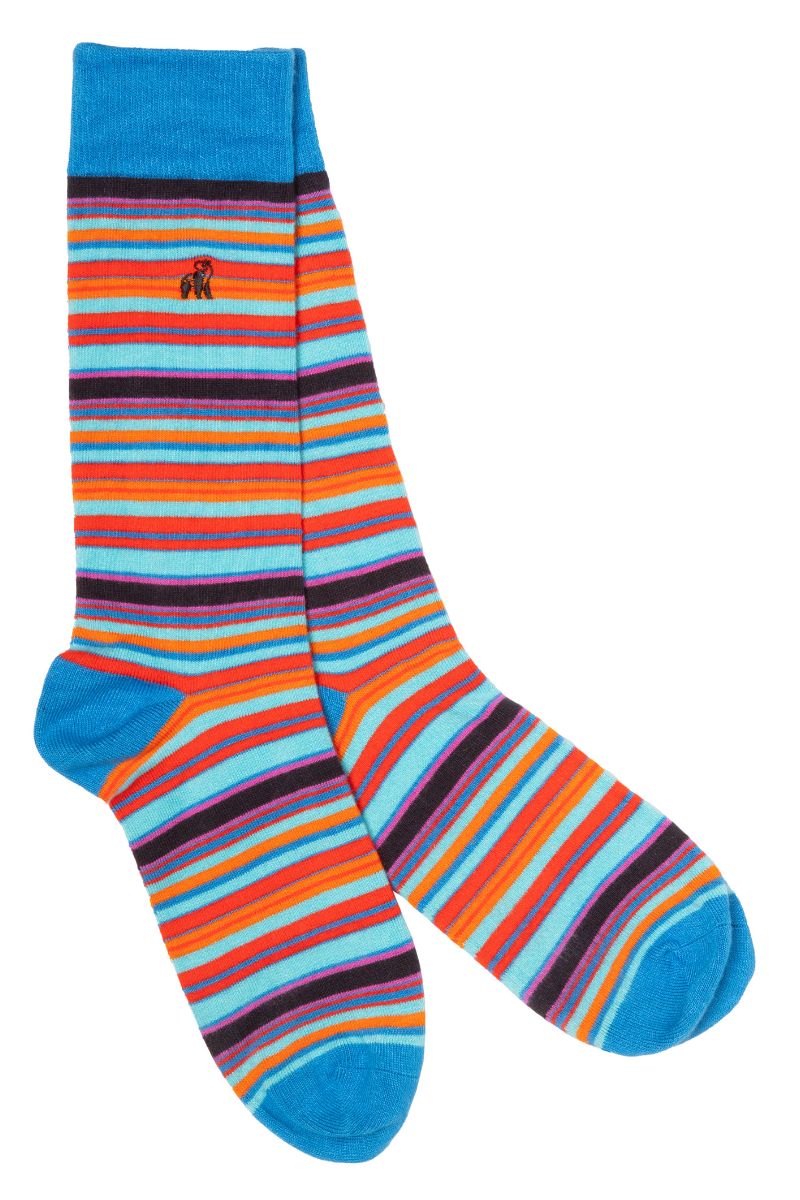 Blue and Red Narrow Striped Bamboo socks