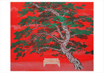 Laden Sie das Bild in den Galerie-Viewer, Sacred Grove: The Art of Kyung-Hwa Yu Boxed Notecard Assortment
