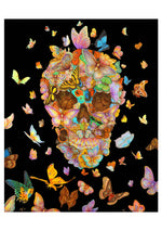 Laden Sie das Bild in den Galerie-Viewer, Day of the Dead: Tino Rodriguez &amp; Virgo Paraiso Boxed Notecard Assortment

