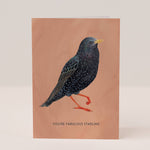 Load image into Gallery viewer, You’re Fabulous Starling – Greeting Card by Mister Peebles
