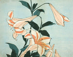 Laden Sie das Bild in den Galerie-Viewer, Hokusai Keepsake Boxed Notecards
