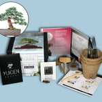 Laden Sie das Bild in den Galerie-Viewer, Blue Spruce Bonsai Tree Growing Kit
