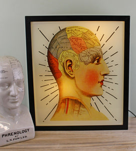 Decorative Lightbox, Phrenology Head